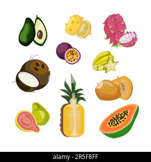 Frutta esotica estiva per un menu vitaminico Illustrazione Vettoriale
