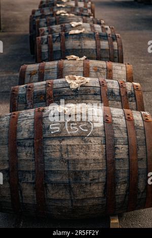 Botti di whisky , Campbeltown , Scozia Foto Stock