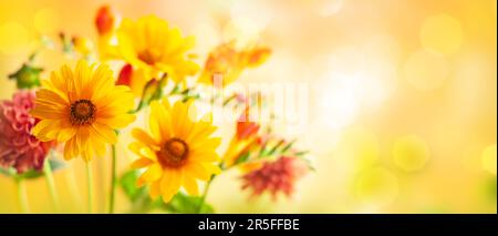 Splendidi fiori autunnali su sfondo giallo sfocato. Dahlia, margherita, girasoli. Panorama, banner con spazio copia Foto Stock