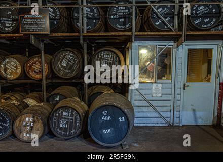 Magazzino della distilleria di Springbank , Campbeltown, Scozia, Regno Unito Foto Stock