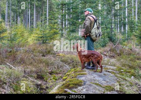 A con il suo Irish Setter nel deserto, è un ottimo modo per gli escursionisti anziani di godere della natura e rimanere fisicamente attivi. Foto Stock