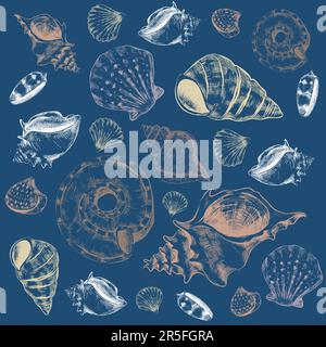 Conchiglie di mare. Conchiglia marina disegnata a mano. Stile di schizzo disegno di elementi subacquei di tipi diversi. Gli abitanti dell'oceano tropicale, la fauna esotica della spiaggia è Illustrazione Vettoriale