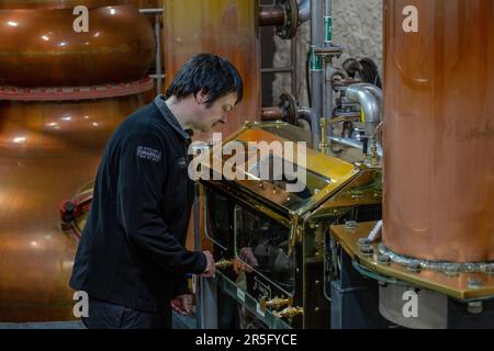 Ancora l'uomo controlla i livelli di alcool nella cassaforte di spirito alla distilleria di Torabhaig sull'isola di Skye, Scozia Foto Stock