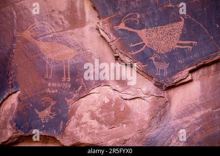 Petroglifi Anasazi Suns Eye al Monument Valley Navajo Tribal Park, Arizona, USA Foto Stock