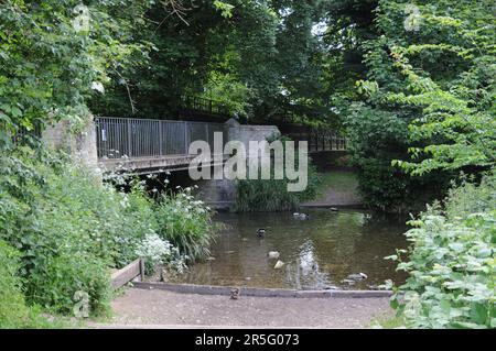 Fiume Granta, Linton, Cambridgeshire Foto Stock