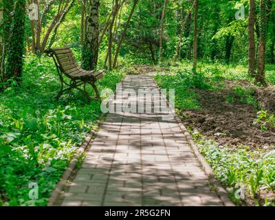 Solitaria panca in legno e vicolo lastricato nel parco Foto Stock