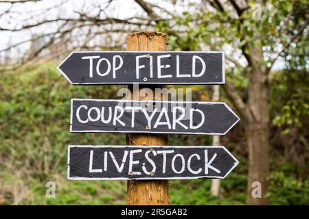 Londra, Regno Unito - Novembre 23 2020: Un cartello dall'aspetto rustico in una fattoria cittadina con il testo Top Field, Courtyard, Livestock. Foto Stock