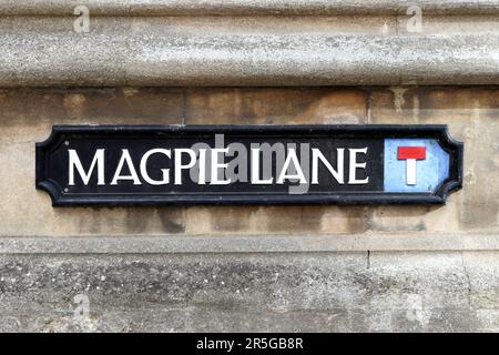 Gazza Lane street sign in Oxford, Inghilterra Foto Stock