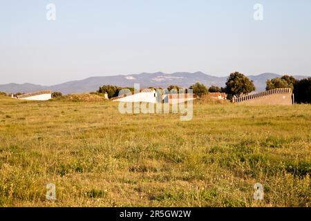 Tarquinia, Italia. Questo è l'ingresso di una tomba etrusca (circa 470 a.C.) Attraverso uno stretto corridoio che conduce al piano inferiore si ha accesso al Foto Stock