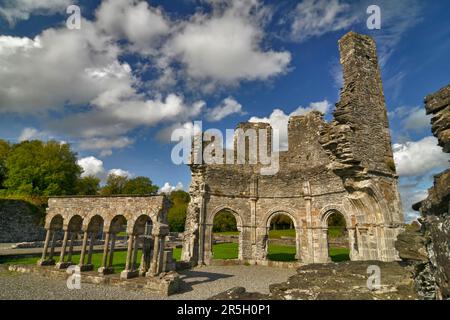 Abbazia di Mellifont, Mellifont, vicino a Drogheda, Contea di Louth, Abbazia cistercense, Irlanda Foto Stock