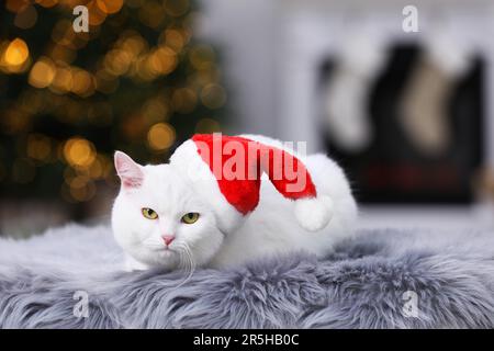 Adorabile gatto che indossa il cappello di Natale sul tappeto di pelliccia all'interno Foto Stock