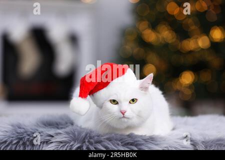 Adorabile gatto che indossa il cappello di Natale sul tappeto di pelliccia all'interno Foto Stock