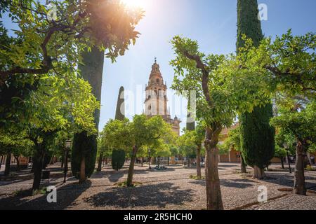 Patio de los Naranjos cortile alla moschea-Cattedrale di Cordoba - Cordoba, Andalusia, Spagna Foto Stock