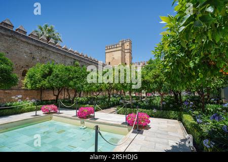 Mudejar Courtyard at Alcazar de los Reyes Cristianos - Cordoba, Andalusia, Spagna Foto Stock