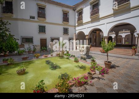 Museo Archeologico ed Etnologico del cortile di Cordoba - Cordoba, Andalusia, Spagna Foto Stock