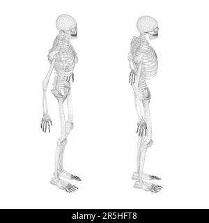 Impostato con struttura a reticolo a scheletro umano da linee nere isolate su sfondo bianco. Vista isometrica. 3D. Illustrazione vettoriale. Illustrazione Vettoriale