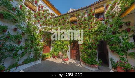 Cortile tradizionale a San Basilio - Cordoba, Andalusia, Spagna Foto Stock