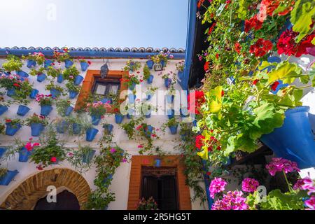 Cortile tradizionale a San Basilio - Cordoba, Andalusia, Spagna Foto Stock