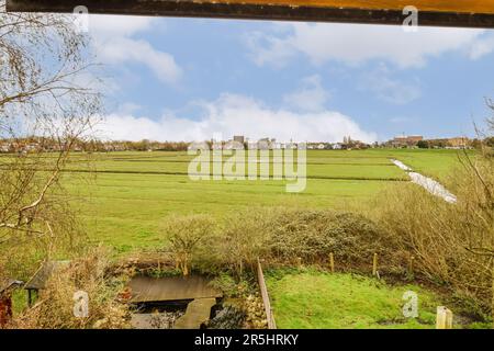 un campo aperto con alberi e case in lontananza, preso da una finestra che si affaccia sui campi verdi Foto Stock