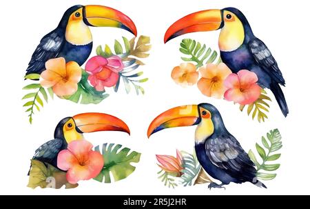 acquerello insieme illustrazione di uccello toucan tra le foglie tropicali isolato su sfondo bianco Illustrazione Vettoriale