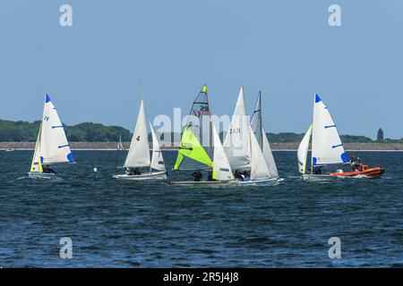 Rutland, Regno Unito. 3rd giugno 2023. Meteo nel Regno Unito. Mentre i previsori del tempo prevedono il giorno più caldo dell'anno, gli appassionati di vela godono del sole e del vento orientale sull'acqua di Rutland. Picture Credit: Tim Scrivener/Alamy Live News Foto Stock