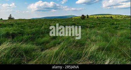 Estate Jeseniky montagne con la collina più alta Praded nella repubblica Ceca - vista da Jeleni hrbet collina sopra Jeleni studanka Foto Stock