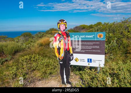 Un cartello con un pilota di salvataggio in elicottero a grandezza naturale, che avverte dei pericoli di essere troppo vicino ai bordi della scogliera sul Coast Track nel Royal Park Foto Stock