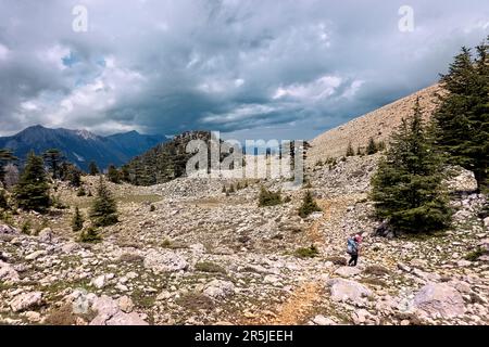 Trekking attraverso le montagne sulla Via Licia, Antalya, Turchia Foto Stock