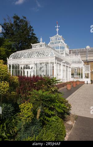 Charles Harrison Townsend's Victorian Conservatory, Horniman Museum, Horniman Gardens, Forest Hill, Londra, SE23, Inghilterra, Regno Unito Foto Stock