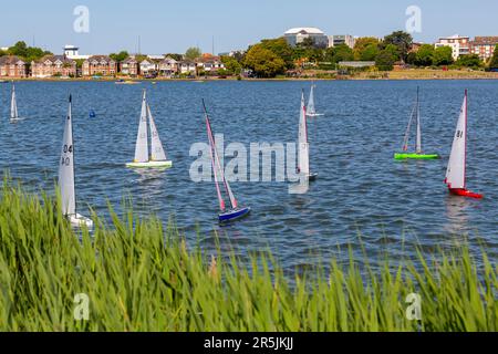 Poole, Dorset, Regno Unito. 4th giugno 2023. Tempo in Gran Bretagna: Gli appassionati di barche radiocomandate gareggiano con i loro modelli di barche nella classe di un metro intorno al lago di Poole Park in una bella e calda giornata di sole brezze. Credit: Carolyn Jenkins/Alamy Live News Foto Stock