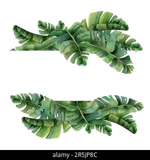 Modello orizzontale per striscione verde acquerello verde tropicale con foglie di palma su sfondo bianco. Giungla mostera per le carte Foto Stock