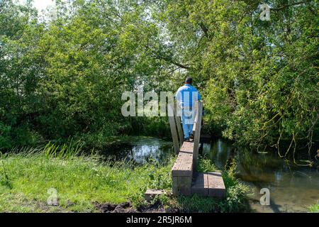 Dorney, Bucknghamshire, Regno Unito. 4th giugno, 2023. Inondazioni sta diventando molto peggio su Dorney Common, nonostante non vi sia stata pioggia per settimane. Gli abitanti del vicino villaggio di Eton Wick sono preoccupati e dicono di non aver visto l'alluvione essere così male durante la loro vita. I monitor di scarico dell'acqua del Tamigi che si suppone siano in grado di monitorare gli scarichi di acque piovane in Roundmoor Ditch, che corre lungo e attraverso il comune, attualmente non funzionano. Credit: Maureen McLean/Alamy Live News Foto Stock