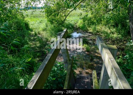 Dorney, Bucknghamshire, Regno Unito. 4th giugno, 2023. Inondazioni sta diventando molto peggio su Dorney Common, nonostante non vi sia stata pioggia per settimane. Gli abitanti del vicino villaggio di Eton Wick sono preoccupati e dicono di non aver visto l'alluvione essere così male durante la loro vita. I monitor di scarico dell'acqua del Tamigi che si suppone siano in grado di monitorare gli scarichi di acque piovane in Roundmoor Ditch, che corre lungo e attraverso il comune, attualmente non funzionano. Credit: Maureen McLean/Alamy Live News Foto Stock