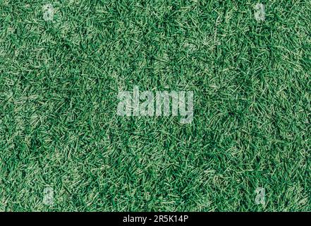 Vista dall'alto dell'erba artificiale. Sfondo verde Foto Stock