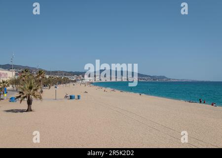 Spiaggia di sabbia principale di Badalona, Catalogna, Spagna Foto Stock