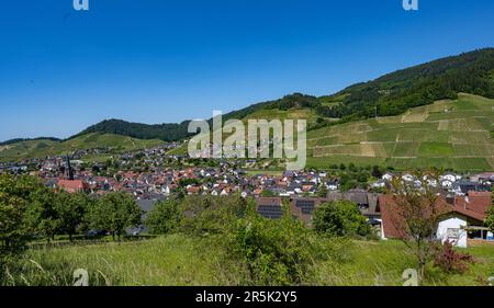 Vista di Kappelrodeck nella valle dell'acher. Foresta Nera, Baden-Wuerttemberg, Germania, Europa Foto Stock