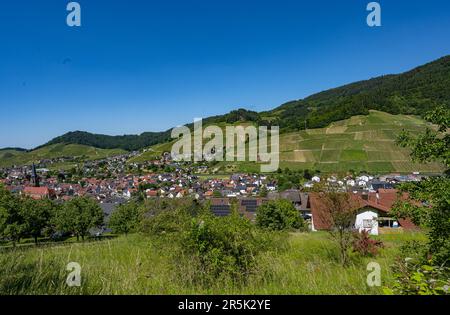 Vista di Kappelrodeck nella valle dell'acher. Foresta Nera, Baden-Wuerttemberg, Germania, Europa Foto Stock