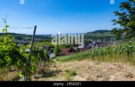 Vista di Kappelrodeck nella valle dell'acher. Foresta Nera, Baden-Wuerttemberg, Germania, Europa Foto Stock