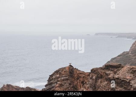 L'uomo avventuroso che si erge sul bordo di una scogliera gode della vista della costa atlantica nella regione di Odemira del Portogallo sudoccidentale. Vagando per la Ro Foto Stock