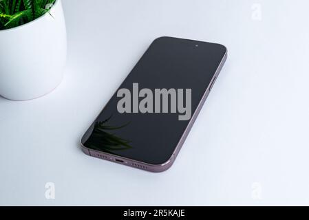 Telefono moderno su scrivania bianca. Pianta accanto. Composizione pulita e piatta. Primo piano Foto Stock