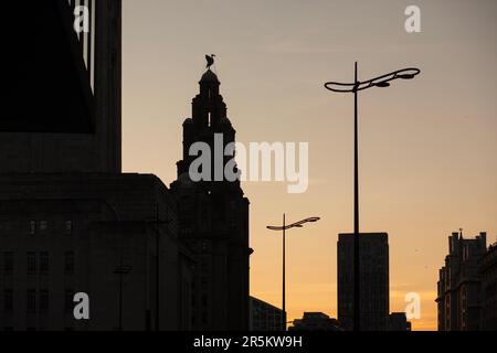 Il Royal Liver Building in silhouette at Sunset, Liverpool, Merseyside, Inghilterra. Foto Stock