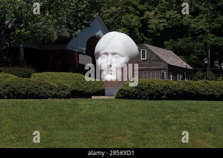 Scultura all'aperto presso il Long Island Museum Stony Brook Long Island New York Foto Stock