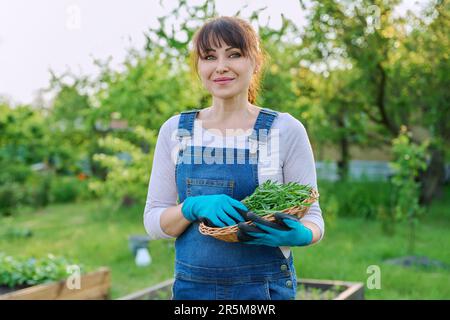 Ritratto di donna contadina sorridente con cestino di erbe rucola guardando la macchina fotografica Foto Stock