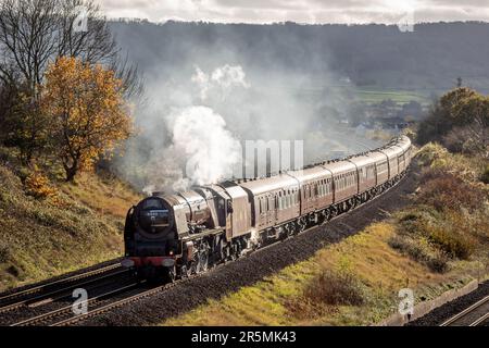 LMS 'Duchessa' 4-6-2 No. 6233 'Duchess of Sutherland' passa Standish Junction, Gloucestershire Foto Stock