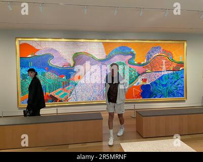 Dipinto di David Hockney in mostra al Los Angeles County Museum of Art di Los Angeles, California. Foto Stock