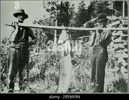 "Rapporto finale della commissione per il gioco e la pesca dell'Ontario 1909-1911 : nominato per informarsi e riferire su tutte le questioni relative al pesce selvaggina, alla pesca e al gioco della provincia dell'Ontario." (1912) Foto Stock