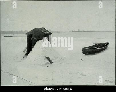 "Rapporto finale della commissione per il gioco e la pesca dell'Ontario 1909-1911 : nominato per informarsi e riferire su tutte le questioni relative al pesce selvaggina, alla pesca e al gioco della provincia dell'Ontario." (1912) Foto Stock