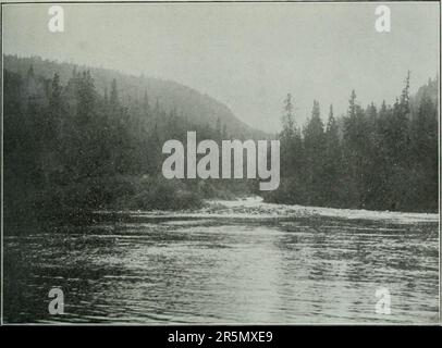 "Rapporto finale della commissione per il gioco e la pesca dell'Ontario 1909-1911 : nominato per informarsi e riferire su tutte le questioni relative al pesce selvaggina, alla pesca e al gioco della provincia dell'Ontario." (1912) Foto Stock