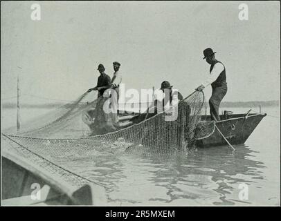 "Rapporto finale della commissione per il gioco e la pesca dell'Ontario 1909-1911 : nominato per informarsi e riferire su tutte le questioni relative al pesce selvaggina, alla pesca e al gioco della provincia dell'Ontario." (1912) Foto Stock