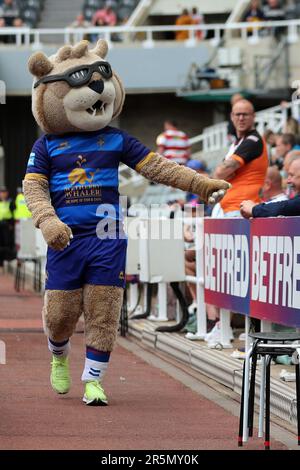 Newcastle, Regno Unito. 4th Giugno 2023.la mascotte di Wakefield Trinity durante la partita di Super League tra Wakefield Trinity Wildcats e Leigh Leopardi a St. James' Park, Newcastle Domenica 4th Giugno 2023. (Foto: Mark Fletcher | NOTIZIE MI) Credit: NOTIZIE MI & Sport /Alamy Live News Foto Stock